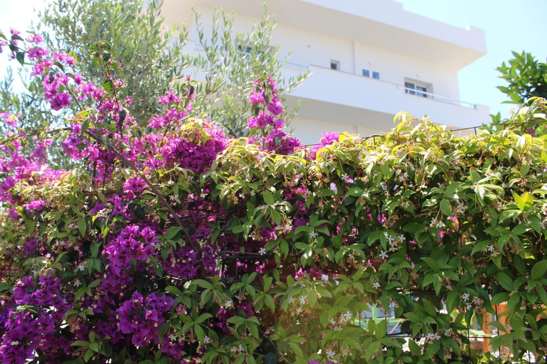 Seli'S Villa Ksamil Exterior photo